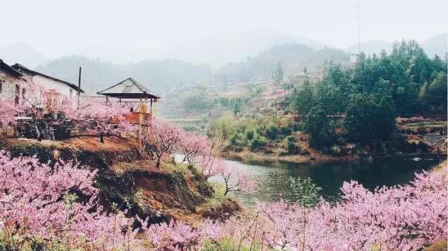 中國的桃花源和西方的烏托邦，是全人類(lèi)的精神遺產(chǎn)